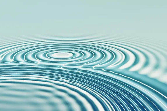 Casino All In Podrška